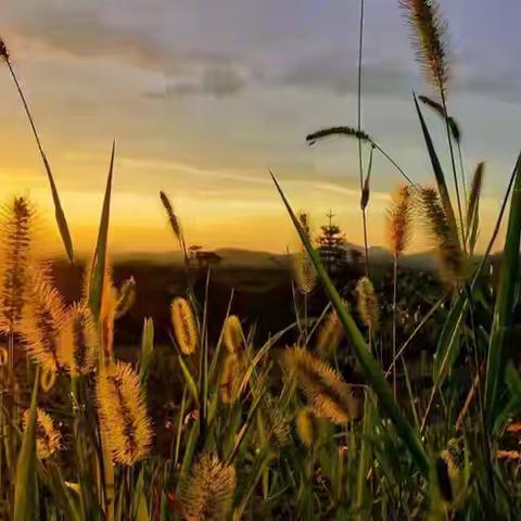 牧风班课前五分钟第九季——我的高光时刻（六上）（上）