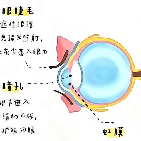 开封市康乐幼儿园第9个近视防控宣传月知识宣传