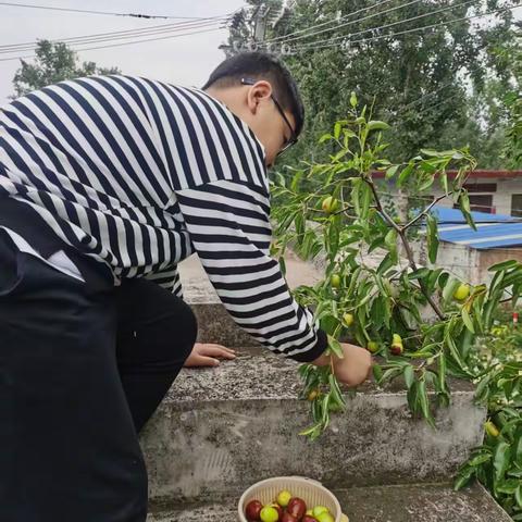 秋日丰收季：孩子们的喜悦时光——四年级