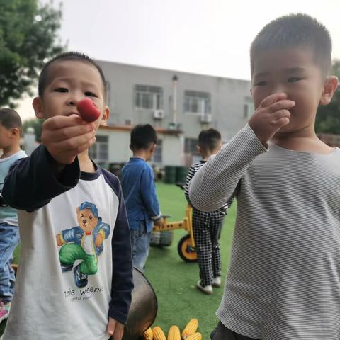 🌸希望幼儿园小一班🍁金秋十月，收获的季节🍁（二）