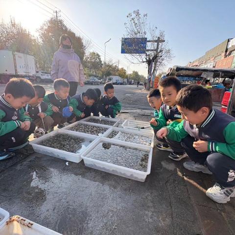 🌞 快乐童年，你我相伴 🌞 🌸希望幼儿园大一班11月第二周和第三周小记（一）🌸