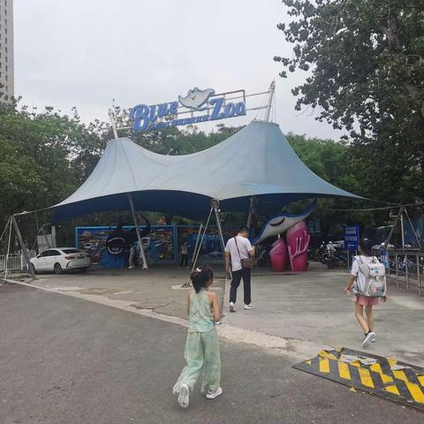 2023.8.2海洋公园打卡