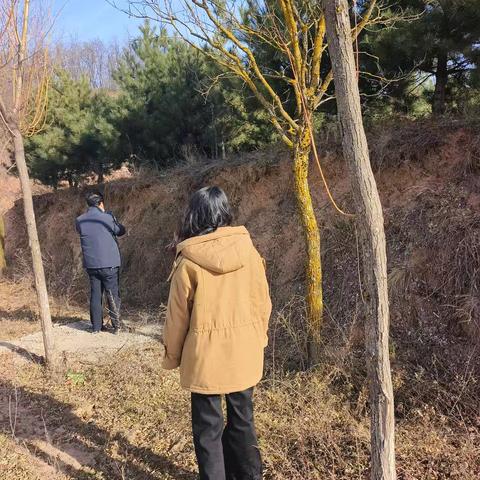 永寿县全面完成全年松材线虫病日常巡查工作