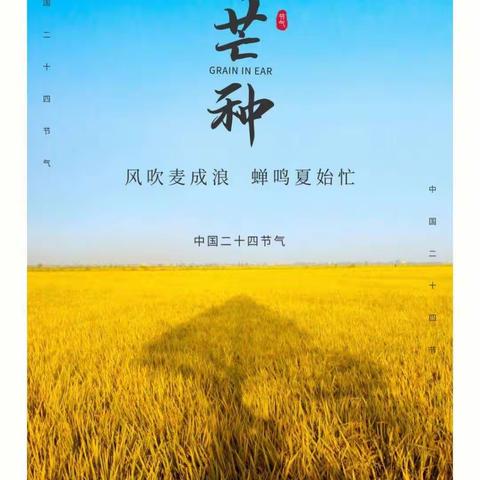 【风吹麦成浪 蝉鸣夏始忙】景苑学校一年级一班举行“我们的二十四节气—芒种”系列主题活动。