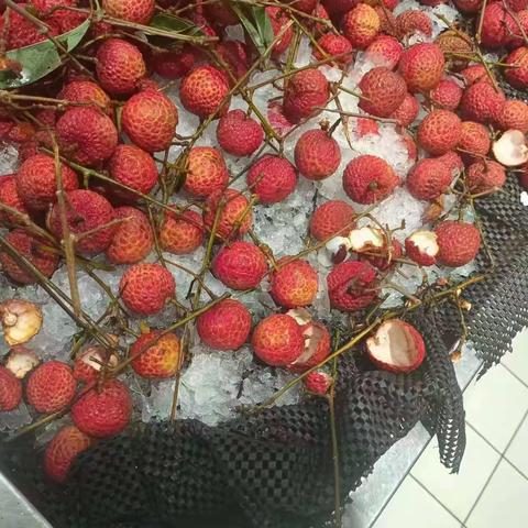 6月30日营运自查水果整改前后图片