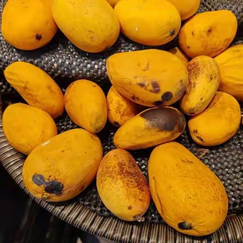 大悟店水果7月7日营运自查整改前后图片