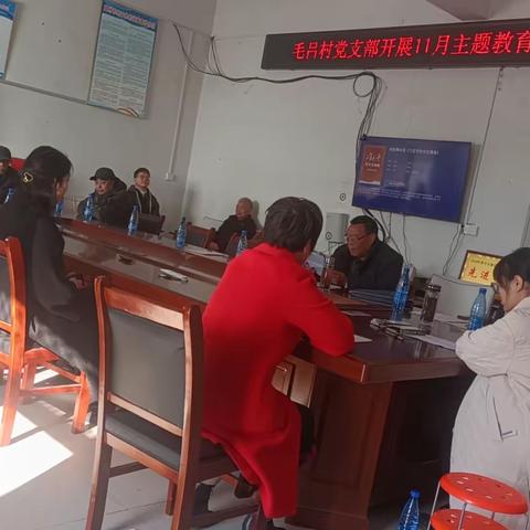毛吕村开展十一月份主题教育集中研讨交流活动