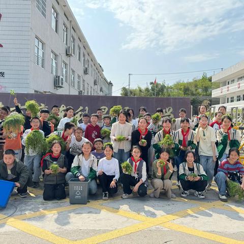 拔草护绿净校园　共同劳动享快乐——麻车小学六（1）班“拔草护绿”活动