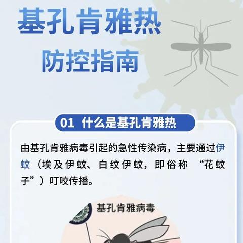 【科学防蚊·守护“童”行】北大新世纪培杰幼儿园一防蚊灭蚊知识宣传