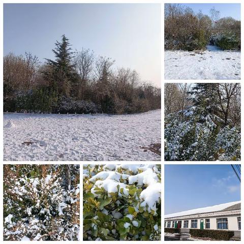 邂逅初雪，童趣无限---龙马小学初雪纪实