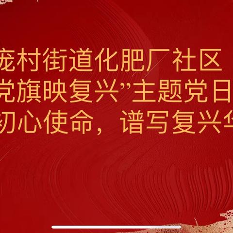 庞村街道化肥厂社区开展十二月主题党日