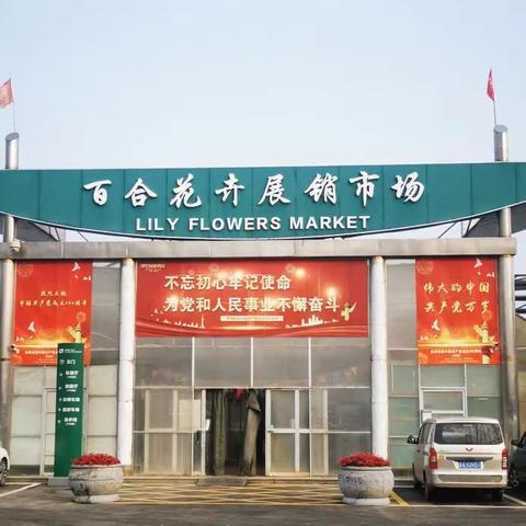 百合花卉展销市场即将恢复营业