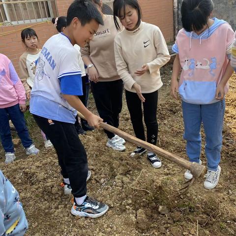 “田间地头亲近自然，种菜烹饪无限乐趣”——竺塘小学劳动实践活动