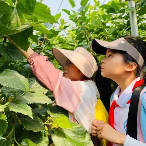 台儿庄区实验小学“十四五”期间工作成果