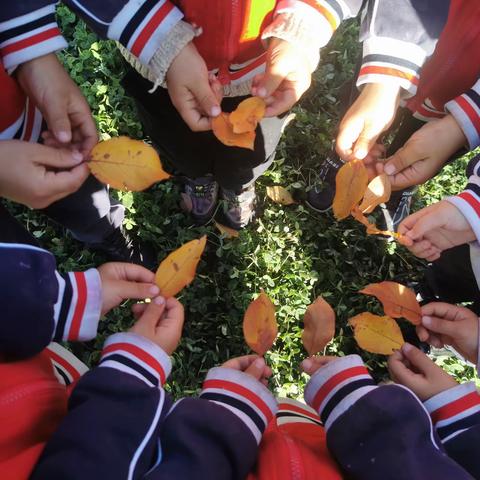 “小手拉大手  共推国通语”——察汗乌苏蒙古族乡幼儿园中班组我眼里的秋天🍂