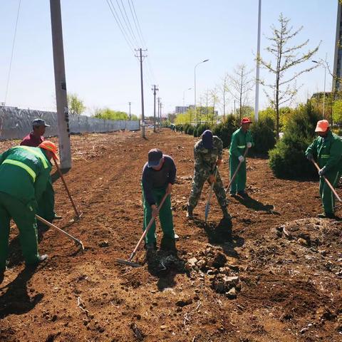 【五一·我在岗】园林管理处积极平整场地 做好花卉种植准备工作