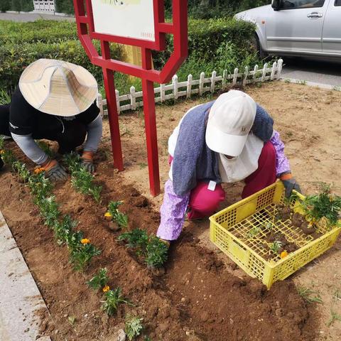 【真抓实干】园林管理处“打草、栽花、拔草”三项工作齐头并进