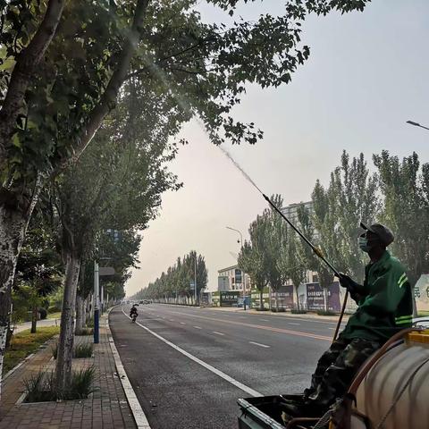 住建局园林管理处：喷洒药剂防治病虫害