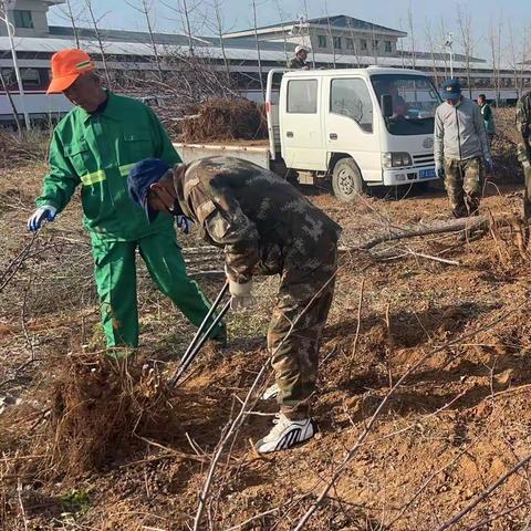 春季绿化正当时 园林工人补植忙