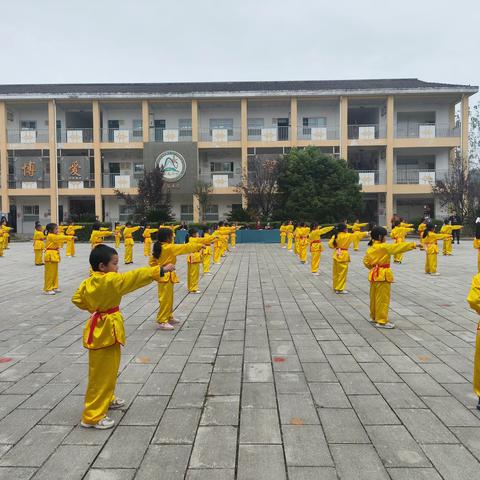 卧龙小学顺利通过市级示范少年宫创建验收