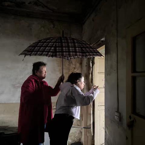 雨中的“定心丸”