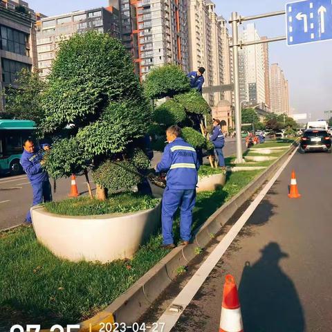 高新区绿化养护日常工作记录