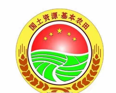 如何开展永久基本农田保护执法检查巡查