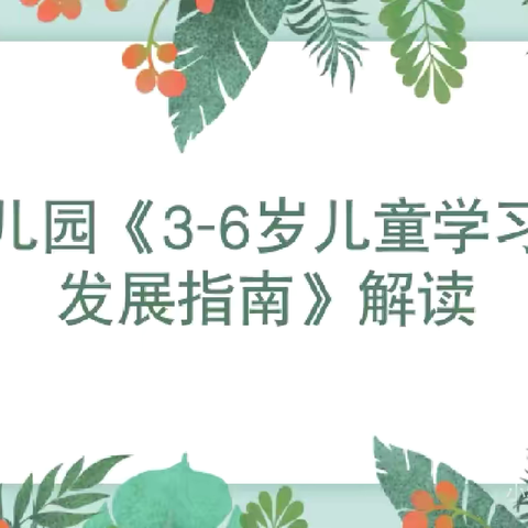 研读指南 学思笃行——罗敷镇桃下幼儿园《3-6岁儿童学习与发展指南》专题培训