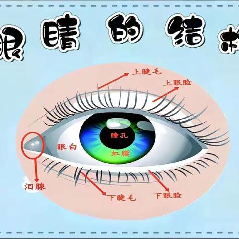 爱护眼睛，预防近视——桃下幼儿园预防近视宣传