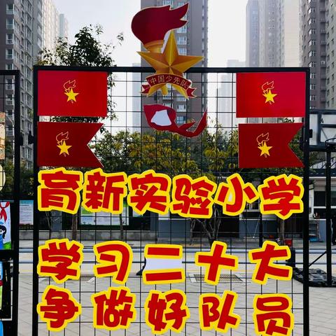 【石家庄市育新实验小学】学习二十大 争做好队员——新队员分批入队仪式