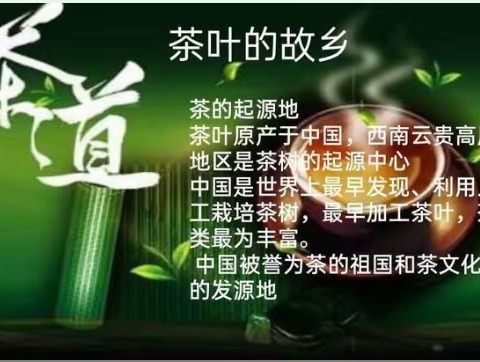 【探茶秘，习茶礼，品茶香】大班中国传统文化主题活动