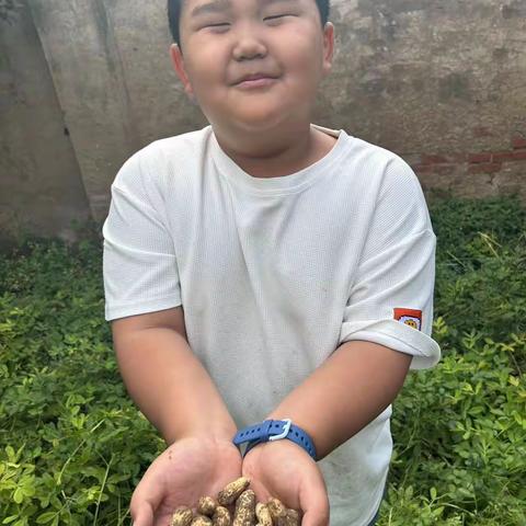 劳动点亮生活 乐享缤纷假期