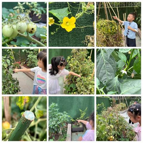 宜宾市叙州区吉祥名都幼儿园苗苗二班“追逐梦想，努力向前”