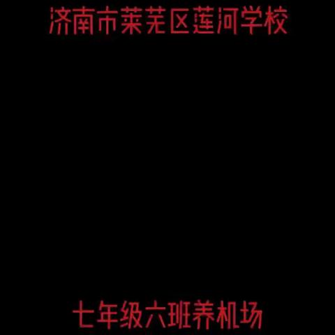 文明礼仪知识普及活动纪实-莲河学校2022级7.6班建起“养机场”