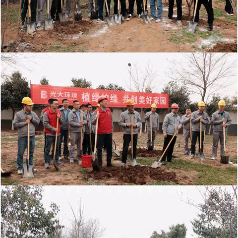 植绿护绿，共创美好家园 ——蓝田能源、蓝田餐厨开展植树节活动