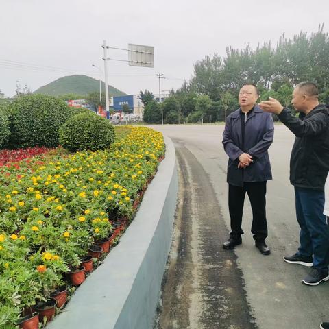 大美遵化｜遵化市城管局为旅发大会增色添彩