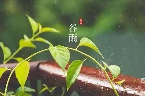 谷雨～～吃春…香椿炒鸡蛋