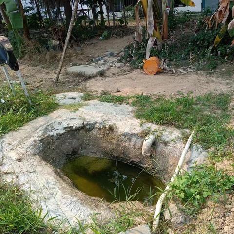2023年04月19日机场光头岭区域蚊虫孳生地问题建议整改报告