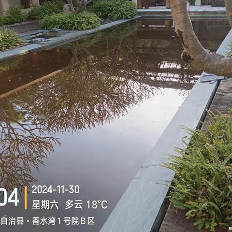 2024年11月30日我公司对香水湾一号小区空置或未售房虫害风险进行勘查，这些别墅院内区域存在大量无人管理的积水。积水类型多数为泳池、排水沟、电梯井、各类坑洼积水和盆盆罐罐等均发现有成蚊和阳性积水。