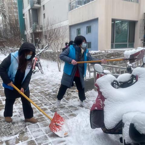 龙年新春瑞雪至，扫雪除冰护平安——上地南路社区组织开展铲雪除冰志愿活动