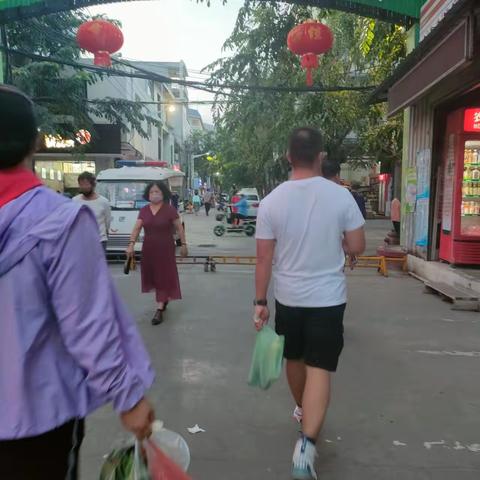 三亚游记（三）豪横的候鸟集群
