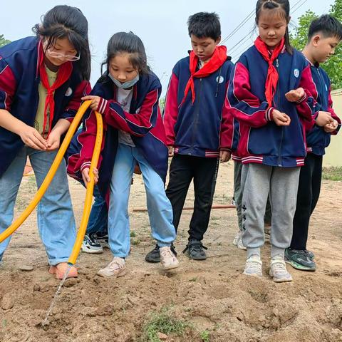 传开希望小学劳动剪影