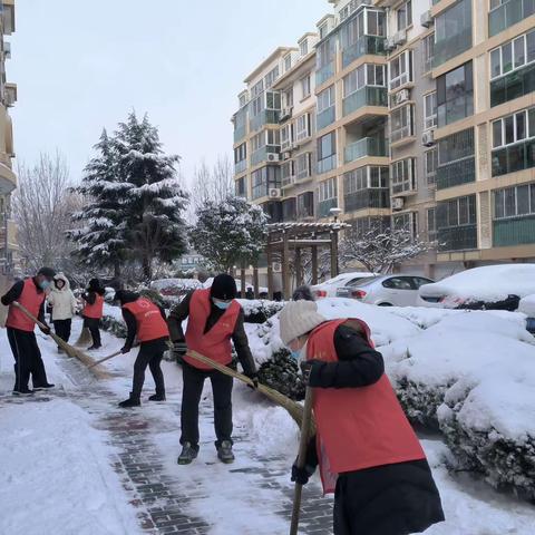 新安社区“铲雪除冰在行动  社区服务暖人心”活动