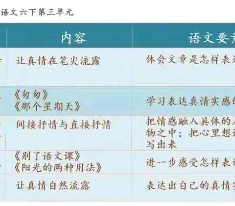 【丰富表达，让真情自然流露】——六年级语文集体备课
