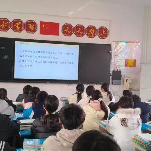 七年级语文《猫》公开课