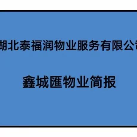 常码头鑫城匯物业六月份工作简报