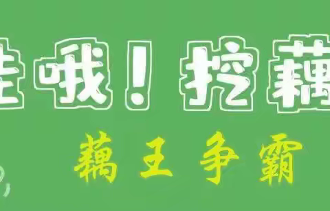 荷”你“藕”遇 —通州黄冈2023秋收活动体验日开始报名啦！