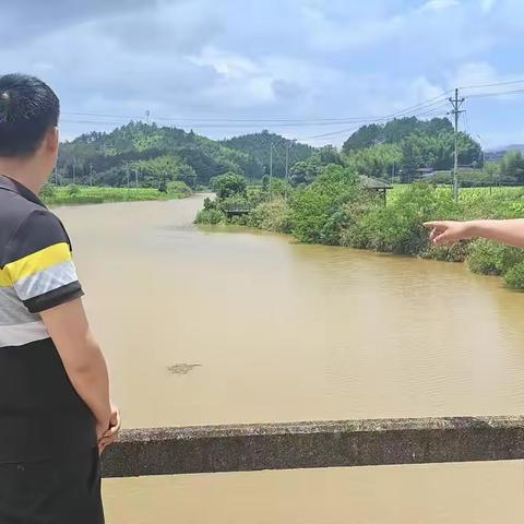 石壁镇开展“河长日”巡河护河活动