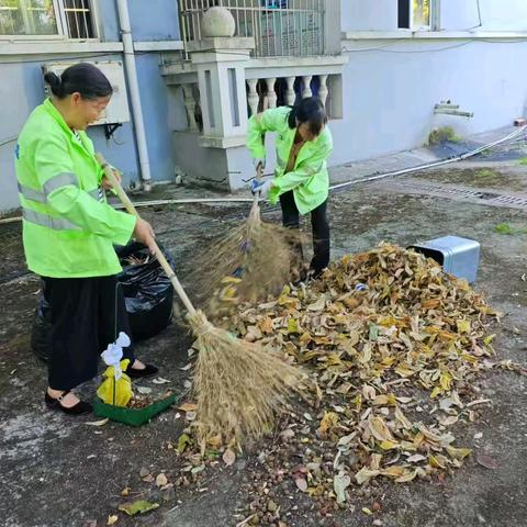 【萍乡玉禾田】清理行道树落叶——玉禾田