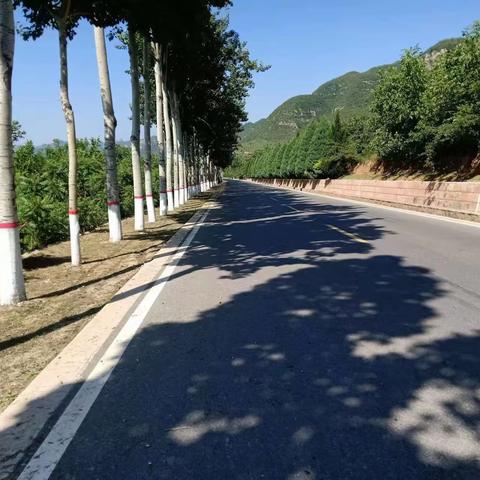 涉县农村公路路域环境整治再掀热潮